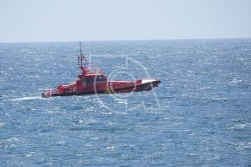 Avistan cetáceos en el mar de La Garita-Telde (Foto TA)